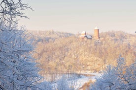 From Riga: Group Tour to Sigulda and Turaida