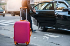 Vienna: Private 1-Way Transfer to/from Vienna Airport