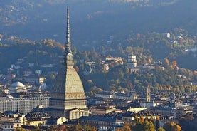 Turin Full-Day guided tour. Departure from Milan