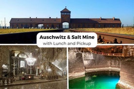 Krakow: Auschwitz-Birkenau & Wieliczka Salt Mine with Lunch