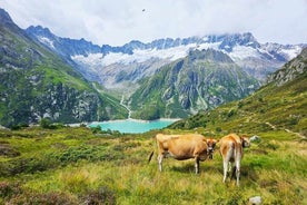 スイス アルプスとルツェルン湖の 1 日ハイキング (お迎え付き)