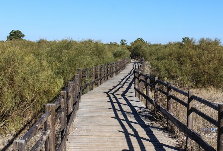 Photo of National Dunes of Vila Real de Santo António in portugal.