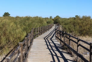 Top 10 Places To Stay in Vila Real de Santo António