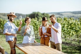 Kunsten af den italienske Aperitivo med en lokal: Lær & nyd i Siena