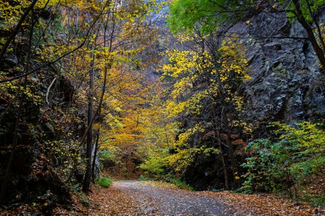 Photo of Lotrisor Waterfall and Surrounding Area of Valcea ,Romania .