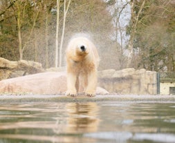 Rostock Zoo