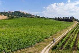 Montepulciano의 와인 애호가 체험: 반나절