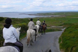 骑马 - Burren Trail。 Lisdoonvarna，克莱尔公司。引导。 3小时。