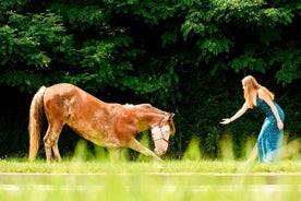 Fotografia profissional com cavalos comuns e complicados