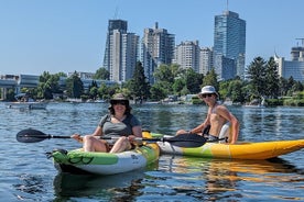 Tour privé de Vienne en kayak