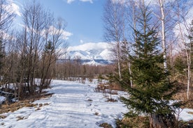 Kežmarok - neighborhood in Slovakia