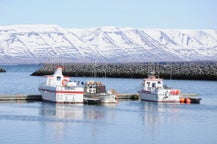 Bílar til leigu á Sauðárkróki, Íslandi