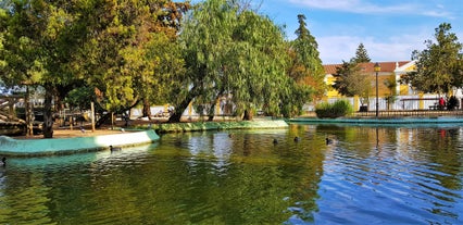 Caldas da Rainha - city in Portugal