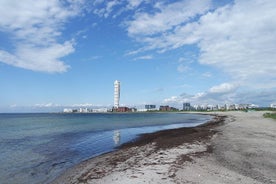 Grünes Malmö - Umwelt und Nachhaltigkeit (Private Tour)