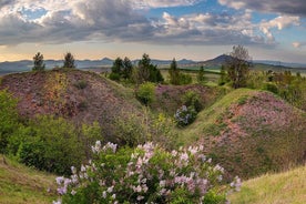 Tschechisches Granatwaschen mit Tierfarm, Mittagessen 4WD-Tour ab Prag