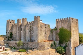 Photo of Lisbon City Skyline with Sao Jorge Castle and the Tagus River, Portugal.