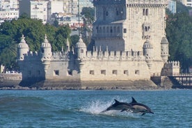 Lisbon Dolphins - höfrungaskoðun í Lissabon