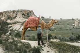 Paseo en camello en Capadocia 