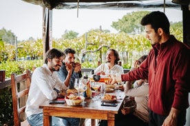 Visite guidée des ruines de Pompéi avec déjeuner et dégustation de vins