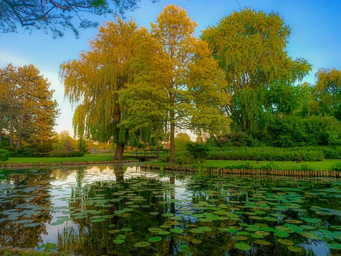 This is a publicly accessible park in Hoorn Netherlands, where an old man feeds the ducks. And it looks beautiful in the spring and summer.