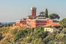 Mercado provenzal, cata de vinos y tour privado por el campo.