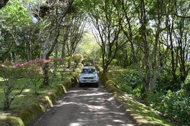 8-stündige private Tour in 4x4 Fahrzeug von Ponta Delgada