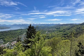 Tour door het beste van Zürich met de Felsenegg-kabelbaan en veerboottocht