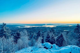 Tour a piedi di 4 ore con vista invernale sul fiordo di Oslo