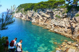 Île de Kolocep randonnée et natation excursion d'une journée complète au départ de Dubrovnik