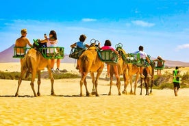 E-Bike Tour with Camel Safari through the 마스팔로마스 샌드 던스