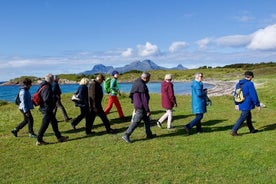 Arctic Coastal Walk