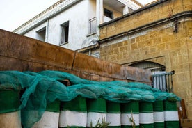 Nicosia: Last Divided City, Tour combining South & North