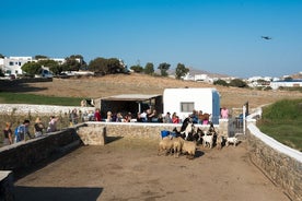 Expérience à la ferme mykonienne