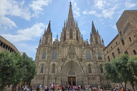 Billet d'entrée à la cathédrale de Barcelone avec accès au toit