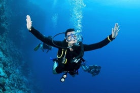 Plongée sous-marine à partir de Dalyan