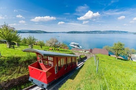 Ausflug zum Berg Bürgenstock ab Luzern