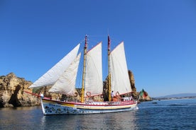 Excursion d'une demi-journée à la voile à Baia de Lagos avec déjeuner