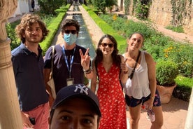 Tour privato con una prospettiva diversa dell'Alhambra