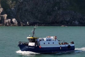 Howth Cliff Cruises