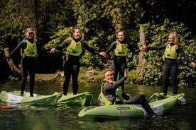 From Dublin: Sit on Top Kayak Experience