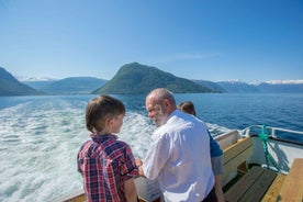 Bergen: Leiðsögn um Fjörð og Jöklaferð til Fjærland