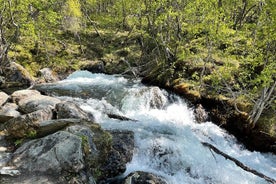 2 uur durende rondleiding in Bubbelen vanuit Alta