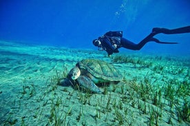 Private Scubadiving with Professional Instructor, photos included