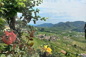 Prosecco Hills ferð með vínsmökkun og hádegisverði frá Feneyjum Treviso