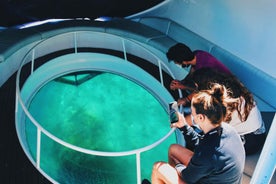 São Miguel: Glass Bottom Boat Tour with Snorkeling