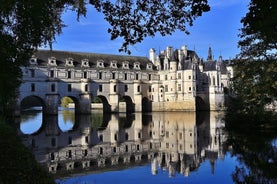 Castelos do Vale do Loire saindo de Paris Private Tour