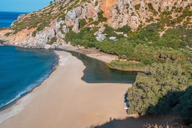 Rondleiding van een hele dag naar het tropische strand Preveli en het palmbos