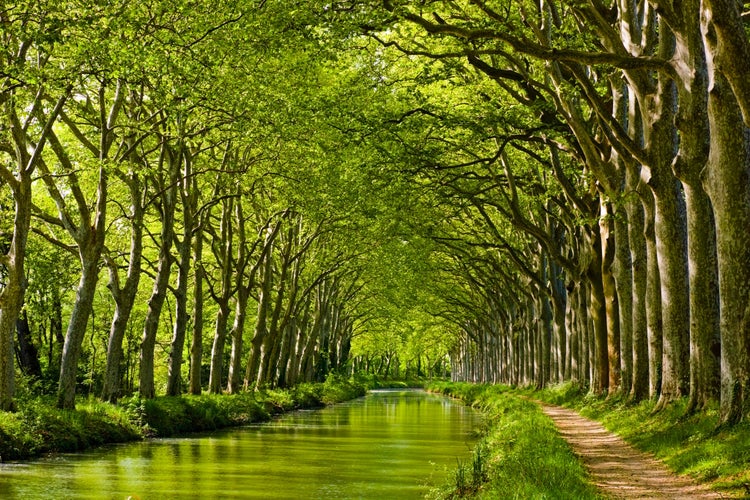 Photo of late spring look on Canal du Midi canal in Toulouse, southern France.