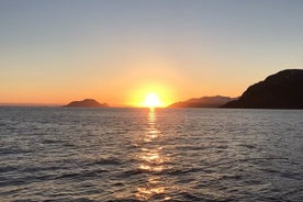 From Tromso all- inclusive Midnight sun cruise by Boat