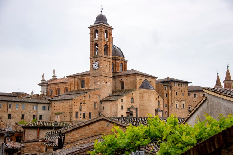 Photo of Cathedral of Santa Maria Assunta - Urbino - Italy.